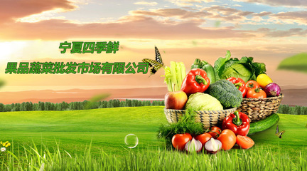 宁夏四季鲜果品蔬菜批发市场 果品流通的枢纽与产业升级的引擎