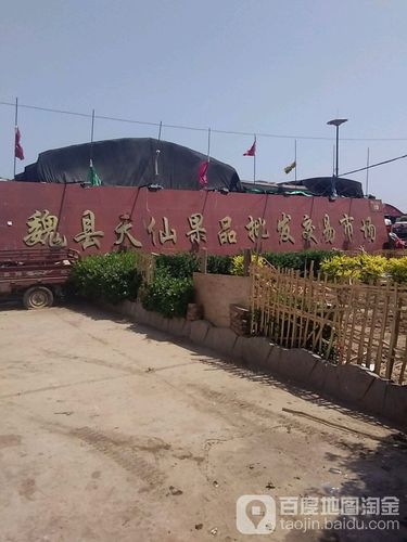 魏县天仙果品批发交易市场 冀南果业流通的枢纽与引擎